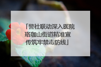 警社联动深入医院 珞珈山街道精准宣传筑牢禁毒防线