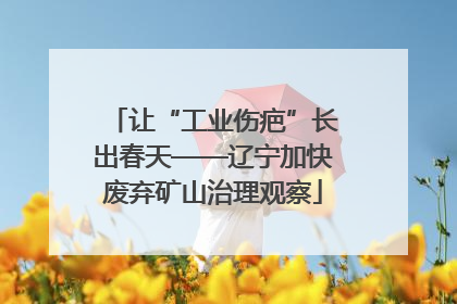 让“工业伤疤”长出春天——辽宁加快废弃矿山治理观察