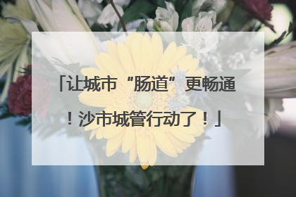 让城市“肠道”更畅通！沙市城管行动了！
