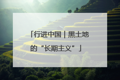 行进中国｜黑土地的“长期主义”