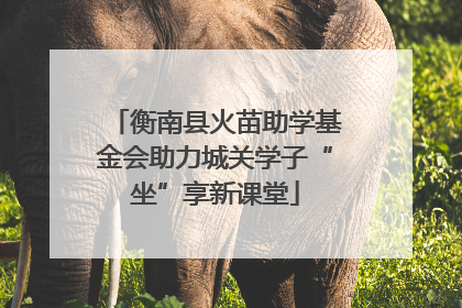 衡南县火苗助学基金会助力城关学子“坐”享新课堂