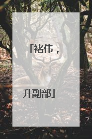 褚伟，升副部