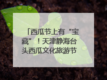 西瓜节上有“宝藏”！天津静海台头西瓜文化旅游节甜蜜开幕