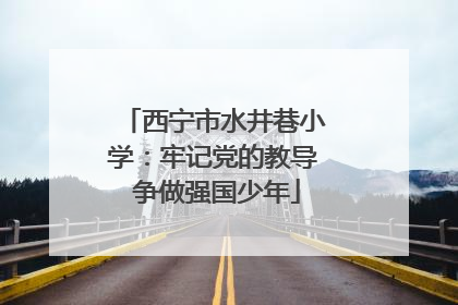 西宁市水井巷小学：牢记党的教导 争做强国少年