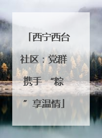 西宁西台社区：党群携手 “粽”享温情