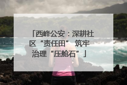西峰公安：深耕社区“责任田” 筑牢治理“压舱石”