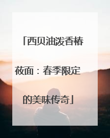 西贝油泼香椿莜面：春季限定的美味传奇