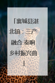 襄城县湛北镇：三产融合 奏响乡村振兴曲