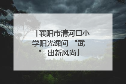 襄阳市清河口小学阳光课间 “武” 出新风尚