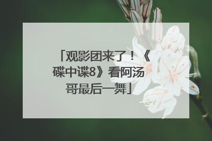 观影团来了！《碟中谍8》看阿汤哥最后一舞