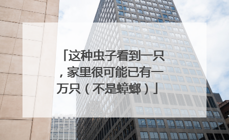 这种虫子看到一只，家里很可能已有一万只（不是蟑螂）