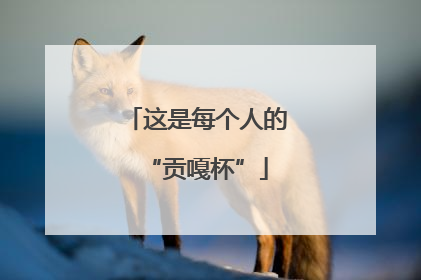 这是每个人的“贡嘎杯”