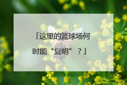 这里的篮球场何时能“复明”？