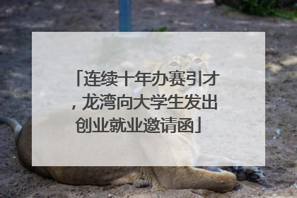 连续十年办赛引才，龙湾向大学生发出创业就业邀请函