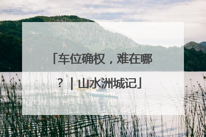 车位确权，难在哪？｜山水洲城记