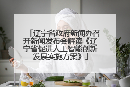 辽宁省政府新闻办召开新闻发布会解读《辽宁省促进人工智能创新发展实施方案》