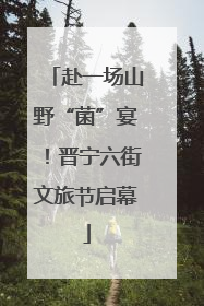 赴一场山野“菌”宴！晋宁六街文旅节启幕