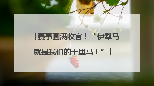 赛事圆满收官！“伊犁马就是我们的千里马！”
