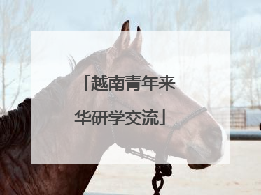 越南青年来华研学交流