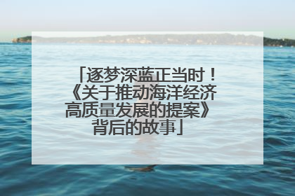 逐梦深蓝正当时！《关于推动海洋经济高质量发展的提案》背后的故事