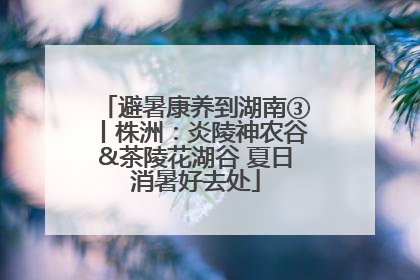 避暑康养到湖南③丨株洲：炎陵神农谷&茶陵花湖谷 夏日消暑好去处