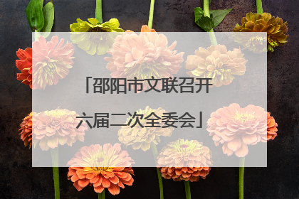 邵阳市文联召开六届二次全委会
