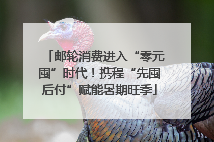 邮轮消费进入“零元囤”时代！携程“先囤后付”赋能暑期旺季
