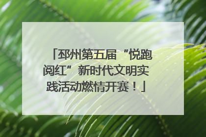 邳州第五届“悦跑阅红”新时代文明实践活动燃情开赛！