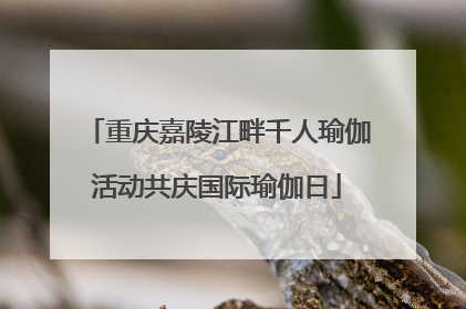 重庆嘉陵江畔千人瑜伽活动共庆国际瑜伽日