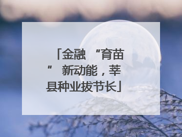 金融 “育苗” 新动能，莘县种业拔节长