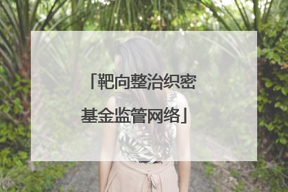 靶向整治织密基金监管网络