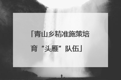青山乡精准施策培育“头雁”队伍