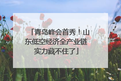 青岛峰会首秀！山东低空经济全产业链实力藏不住了