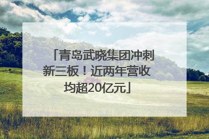 青岛武晓集团冲刺新三板！近两年营收均超20亿元