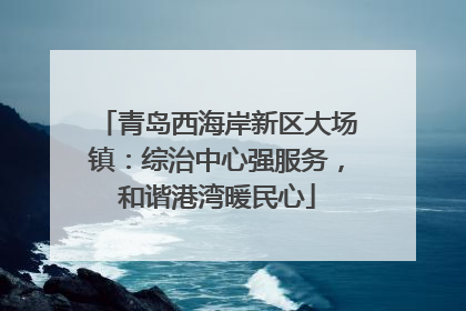 青岛西海岸新区大场镇：综治中心强服务，和谐港湾暖民心