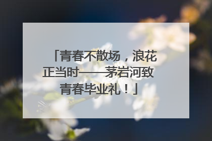青春不散场，浪花正当时——茅岩河致青春毕业礼！
