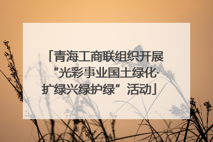 青海工商联组织开展“光彩事业国土绿化·扩绿兴绿护绿”活动