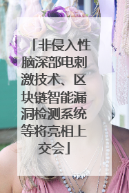 非侵入性脑深部电刺激技术、区块链智能漏洞检测系统等将亮相上交会