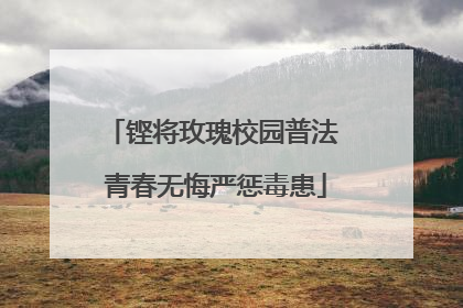 铿将玫瑰校园普法 青春无悔严惩毒患