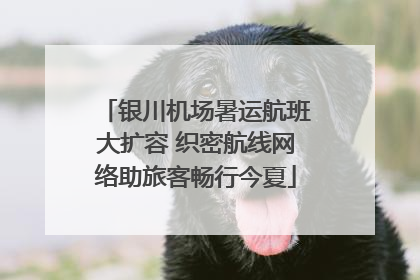 银川机场暑运航班大扩容 织密航线网络助旅客畅行今夏