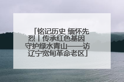 铭记历史 缅怀先烈丨传承红色基因 守护绿水青山——访辽宁宽甸革命老区