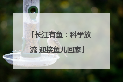 长江有鱼：科学放流 迎接鱼儿回家