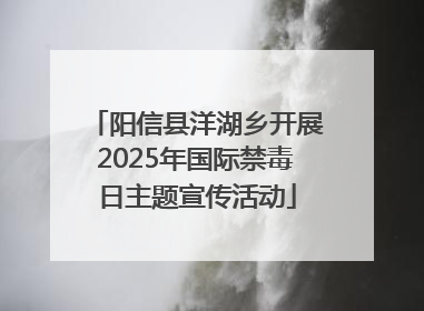 阳信县洋湖乡开展2025年国际禁毒日主题宣传活动