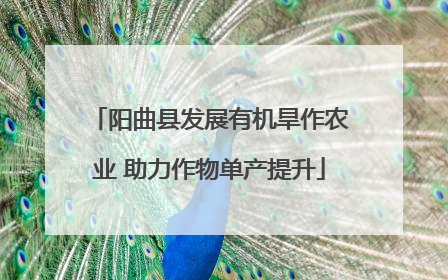 阳曲县发展有机旱作农业 助力作物单产提升