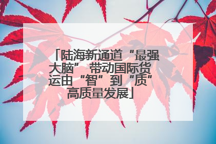 陆海新通道“最强大脑” 带动国际货运由“智”到“质”高质量发展