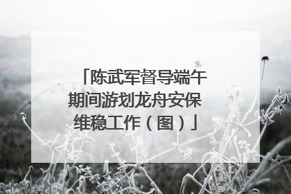 陈武军督导端午期间游划龙舟安保维稳工作（图）