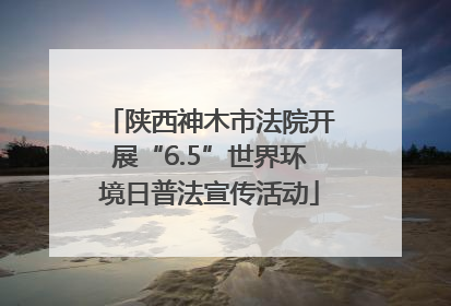 陕西神木市法院开展“6.5”世界环境日普法宣传活动