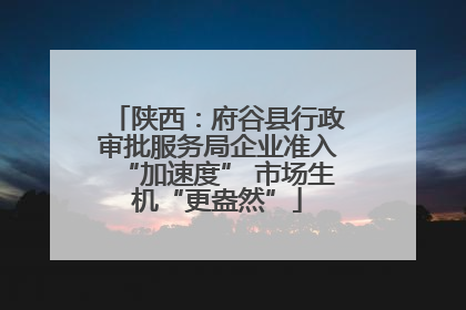 陕西：府谷县行政审批服务局企业准入“加速度” 市场生机“更盎然”