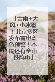 雷雨+大风+小冰雹！北京多区发布雷电蓝色预警！本周还有全市性阵雨