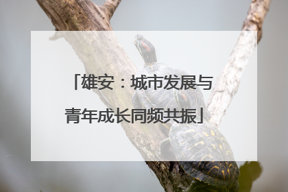 雄安：城市发展与青年成长同频共振